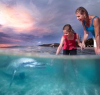 Tangalooma Island Resort - Melbourne Tourism