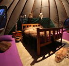 Aranyani Bison Adventure Tourist Park - Melbourne Tourism