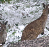 Barokee campground - Melbourne Tourism