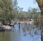 Beds on the Barwon - Melbourne Tourism