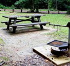 Bellbird campground - Melbourne Tourism