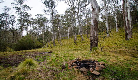 Gummi Falls Campground - Melbourne Tourism 0