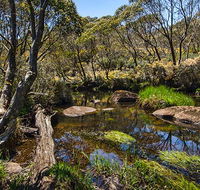 Junction Pools campground - Melbourne Tourism