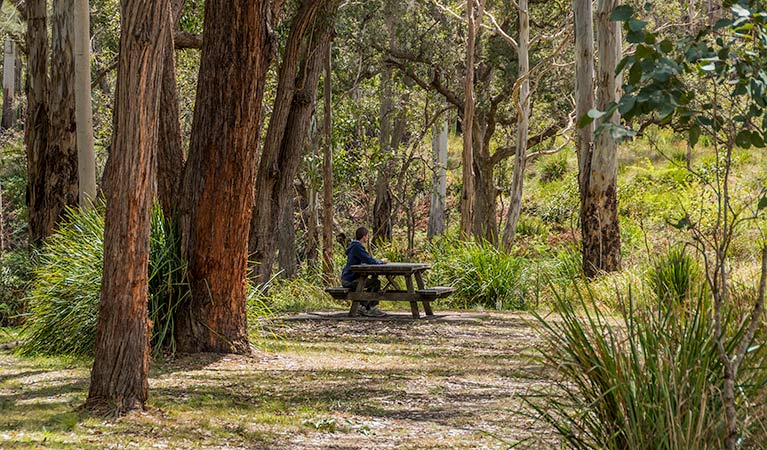 Brumby Plains NSW Melbourne Tourism