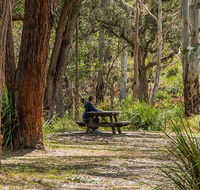 Koreelah Creek campground - Melbourne Tourism