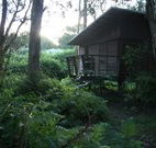 Melaleuca Surfside Backpackers - Melbourne Tourism