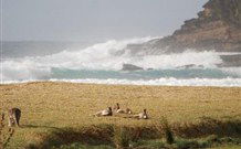 Merry Beach Caravan Resort - Melbourne Tourism 2
