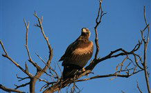 Pimpara Lake Stationstay - Melbourne Tourism 2