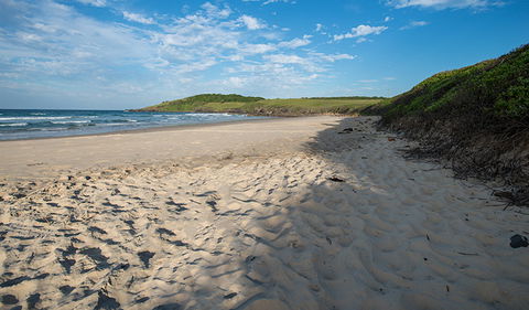 Racecourse Campground - Melbourne Tourism 2