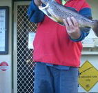 Rainbow Pines Tourist Caravan Park - Melbourne Tourism