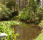 Tallowood Ridge B and B - Melbourne Tourism
