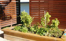 Woolgoolga Beach Holiday Park - Melbourne Tourism 4