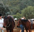 Chesleigh Homestead - Melbourne Tourism