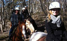 JE Resort (Jindabyne Equestrian Resort) - Melbourne Tourism 1