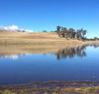 Bombala Maneroo Motel - Bombala - Melbourne Tourism