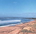 Hibiscus Lakeside Motel - Melbourne Tourism