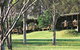 Hunter Country Lodge - Rothbury North - thumb 1
