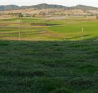 Leconfield House - Leconfield