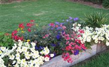 Narromine Tourist Park And Motel - Narromine - Melbourne Tourism 1