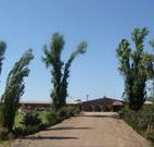 Newell Motor Inn - Narrandera - Melbourne Tourism