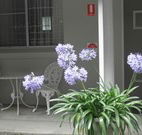 Pine Lodge Motel - Woolgoolga - Melbourne Tourism