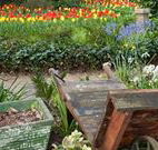 The Carrington Inn - Melbourne Tourism