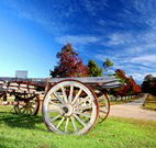 Oaks Ranch  Country Club - Melbourne Tourism