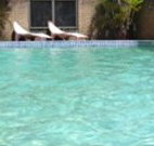 Toreador Motel - Coffs Harbour - Melbourne Tourism