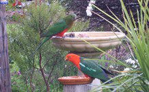 Valley View Motel Murrurundi - Murrurundi - Melbourne Tourism 4