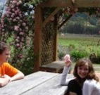 Back Forest Retreat - Melbourne Tourism