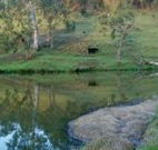 Barkeldine Farm Country Retreat - Melbourne Tourism