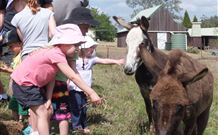 Barkeldine Farm Country Retreat - Melbourne Tourism 2