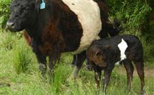 Barkeldine Farm Country Retreat - Melbourne Tourism 4