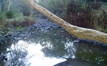 Barkeldine Farm Country Retreat - Melbourne Tourism 3