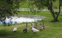 Barkeldine Farm Country Retreat - Melbourne Tourism 6