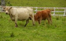 Barkeldine Farm Country Retreat - Melbourne Tourism 5