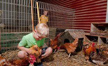 Bilpin NSW Melbourne Tourism