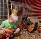 Bilpin Springs Lodge - Melbourne Tourism