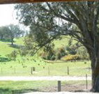 Hosanna Farm Retreat - Melbourne Tourism
