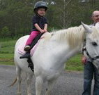 Mansfield Cottage Barrington Tops Accommodation - Melbourne Tourism