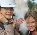 Mayfield Vineyard Cottages - Melbourne Tourism