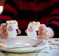 Cosy Cow Farmstay Bed and Breakfast - Melbourne Tourism