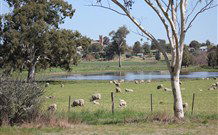 Yamba Farmstay - Melbourne Tourism 5