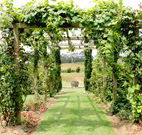 All Saints Bed and Breakfast - Melbourne Tourism
