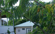 Amore Boutique Bed And Breakfast - Melbourne Tourism 1