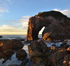 Bellbird Cottage Bed and Breakfast - Melbourne Tourism