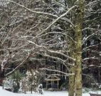 Bethany Manor Bed and Breakfast - Melbourne Tourism