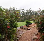 Bushview Cottage - Melbourne Tourism