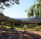 Cedar Grove - - Melbourne Tourism