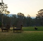 Elfin Hill - Melbourne Tourism